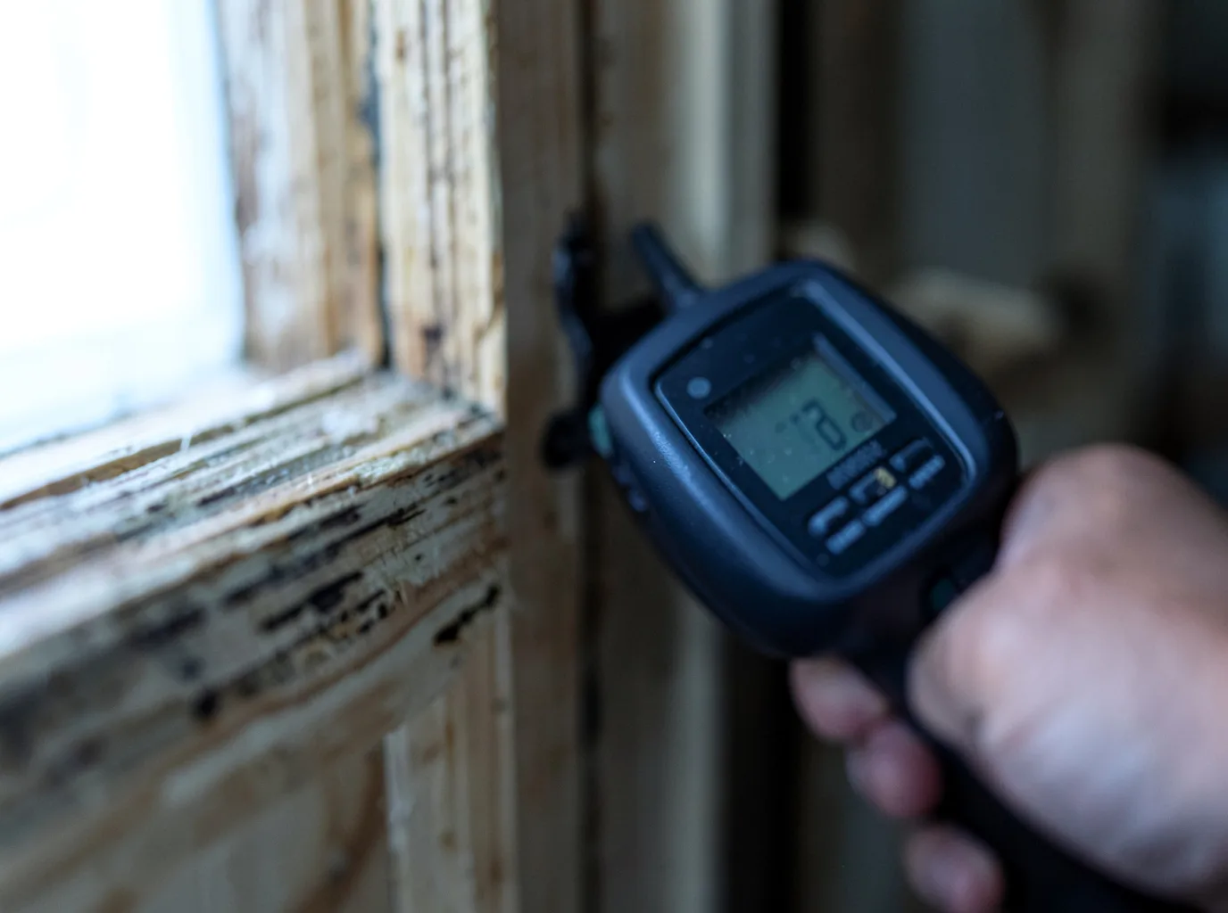 Moisture Inspection And Documentation in Wakefield, NE